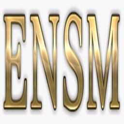 huellasdelaensm.com